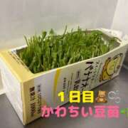 ヒメ日記 2025/09/10 01:50 投稿 りあ 千葉柏ちゃんこ