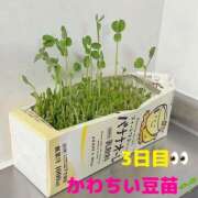 ヒメ日記 2025/09/12 04:00 投稿 りあ 千葉柏ちゃんこ
