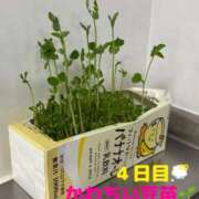 ヒメ日記 2025/09/12 22:31 投稿 りあ 千葉柏ちゃんこ