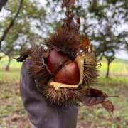 ヒメ日記 2025/09/13 11:39 投稿 りあ 千葉柏ちゃんこ