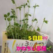 ヒメ日記 2025/09/13 22:49 投稿 りあ 千葉柏ちゃんこ