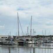 ヒメ日記 2025/09/14 09:33 投稿 りあ 千葉柏ちゃんこ