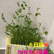 ヒメ日記 2025/09/14 23:10 投稿 りあ 千葉柏ちゃんこ