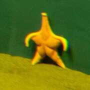 ヒメ日記 2025/09/19 09:15 投稿 りあ 千葉柏ちゃんこ