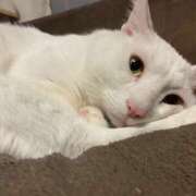 ヒメ日記 2025/10/06 20:42 投稿 りあ 千葉柏ちゃんこ