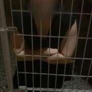 ヒメ日記 2025/10/20 20:10 投稿 りあ 千葉柏ちゃんこ