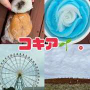 ヒメ日記 2025/11/02 15:24 投稿 りあ 千葉柏ちゃんこ