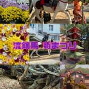 ヒメ日記 2025/11/03 12:52 投稿 りあ 千葉柏ちゃんこ