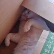 ヒメ日記 2025/11/03 17:21 投稿 りあ 千葉柏ちゃんこ