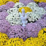 ヒメ日記 2025/11/06 09:06 投稿 りあ 千葉柏ちゃんこ