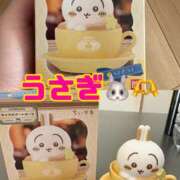 ヒメ日記 2025/11/10 12:09 投稿 りあ 千葉柏ちゃんこ