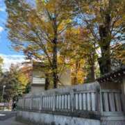 ヒメ日記 2025/11/19 17:10 投稿 りあ 千葉柏ちゃんこ