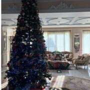 ヒメ日記 2025/11/21 10:48 投稿 りあ 千葉柏ちゃんこ