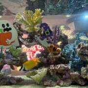 ヒメ日記 2025/11/30 04:28 投稿 りあ 千葉柏ちゃんこ