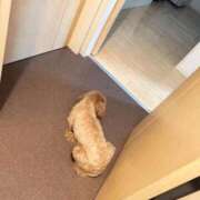 ヒメ日記 2025/09/05 16:16 投稿 すずnew Lolipop（ロリポップ）