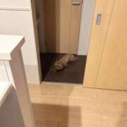 ヒメ日記 2025/09/09 10:26 投稿 すずnew Lolipop（ロリポップ）