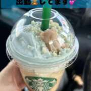 ヒメ日記 2025/10/03 12:56 投稿 すずnew Lolipop（ロリポップ）