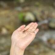 ヒメ日記 2025/08/25 13:32 投稿 くりす Tバックエステ 池袋店