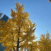 ヒメ日記 2025/11/21 22:30 投稿 そら★神スタイルの正統派美少女 Chloe五反田本店　S級素人清楚系デリヘル