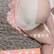 ヒメ日記 2025/09/03 12:48 投稿 小宮美佐子 五十路マダム姫路店