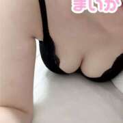 ヒメ日記 2025/09/13 10:16 投稿 まいか club さくら日本橋店