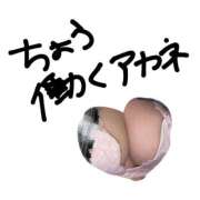 ヒメ日記 2026/02/27 23:00 投稿 あかね キャンパスサミット 地域トップクラスの可愛い子揃い