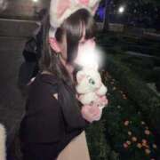 ヒメ日記 2025/11/01 04:26 投稿 るり E+アイドルスクール池袋店