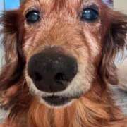 ヒメ日記 2025/09/05 22:17 投稿 るな お姉さんSelect