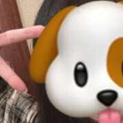 ヒメ日記 2025/09/13 12:56 投稿 るな お姉さんSelect