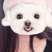 ヒメ日記 2026/02/28 02:36 投稿 るな お姉さんSelect