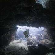 ヒメ日記 2025/08/27 21:01 投稿 リオ マテリアル