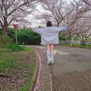 ヒメ日記 2026/04/07 11:52 投稿 よぞら メンヘラ専門デリヘル ゼロワン 横浜本店