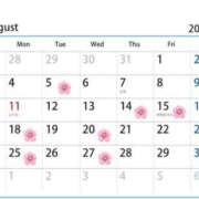 ヒメ日記 2025/08/05 02:22 投稿 さくら Evolution 2nd