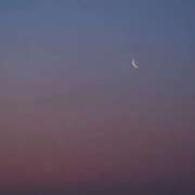 ヒメ日記 2025/08/15 12:15 投稿 さくら Evolution 2nd