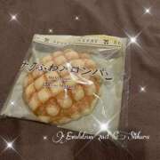 ヒメ日記 2025/08/18 11:13 投稿 さくら Evolution 2nd