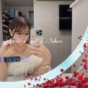 ヒメ日記 2025/08/18 11:59 投稿 さくら Evolution 2nd