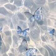 ヒメ日記 2025/08/24 08:20 投稿 さくら Evolution 2nd