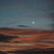 ヒメ日記 2025/08/31 14:23 投稿 さくら Evolution 2nd