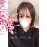 ヒメ日記 2025/09/20 07:52 投稿 さくら Evolution 2nd