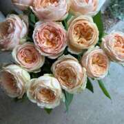 ヒメ日記 2025/09/29 08:02 投稿 さくら Evolution 2nd