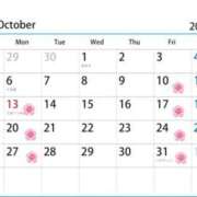 ヒメ日記 2025/10/07 13:52 投稿 さくら Evolution 2nd