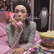 ヒメ日記 2025/12/13 10:37 投稿 さくら Evolution 2nd