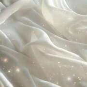 ヒメ日記 2025/12/13 13:02 投稿 さくら Evolution 2nd