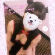 ヒメ日記 2026/03/09 22:47 投稿 せしる OL倶楽部