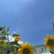 ヒメ日記 2025/09/09 17:46 投稿 みな FResh(素人・可愛い)都城店