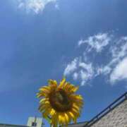 ヒメ日記 2025/09/14 11:30 投稿 みな FResh(素人・可愛い)都城店