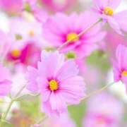 ヒメ日記 2025/10/06 16:16 投稿 みな FResh(素人・可愛い)都城店