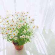 ひまり 来週からお会いできそうです♡ アイドルドリーム