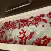 ヒメ日記 2026/01/30 01:18 投稿 南井　あまね ミセスサマンサPLUS