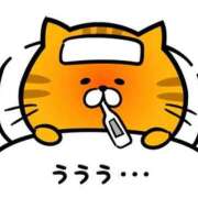 ヒメ日記 2025/10/27 23:37 投稿 るい ダンシングおっぱいTEAM爆